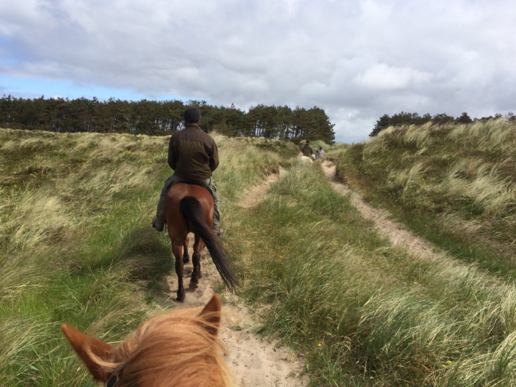 Ridetur på Rømø
