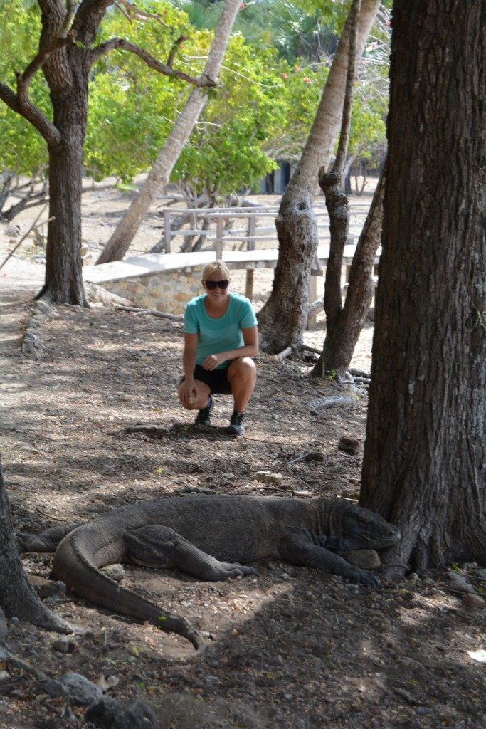 Komodo National park