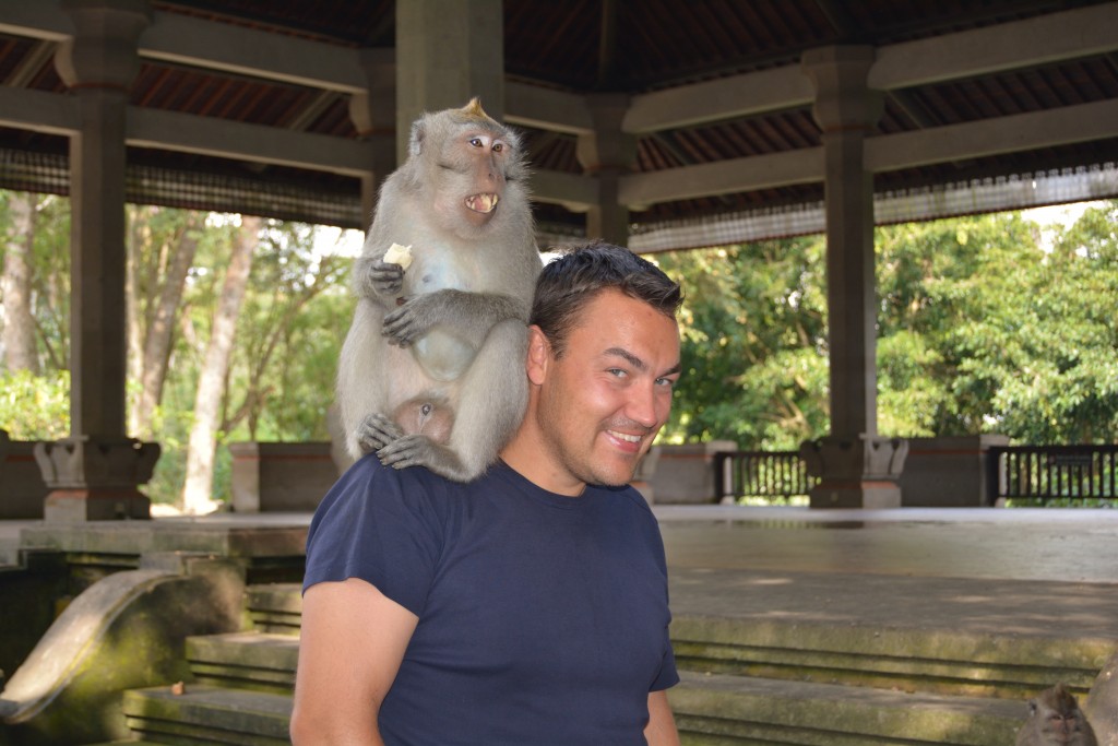 Monkey forrest Bali
