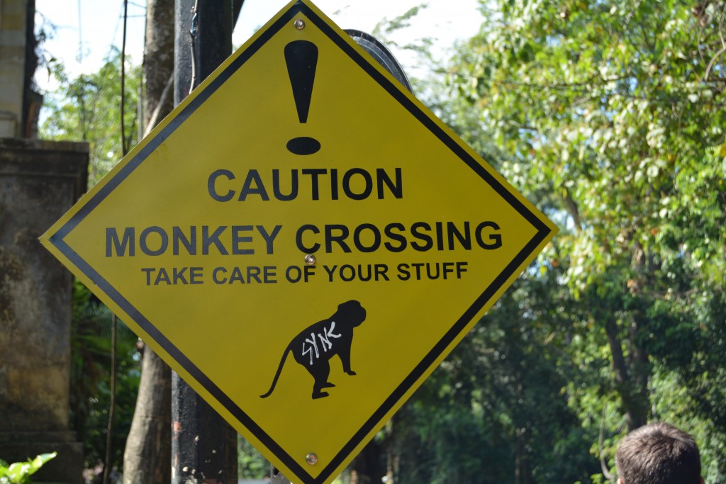 Monkey forrest Bali