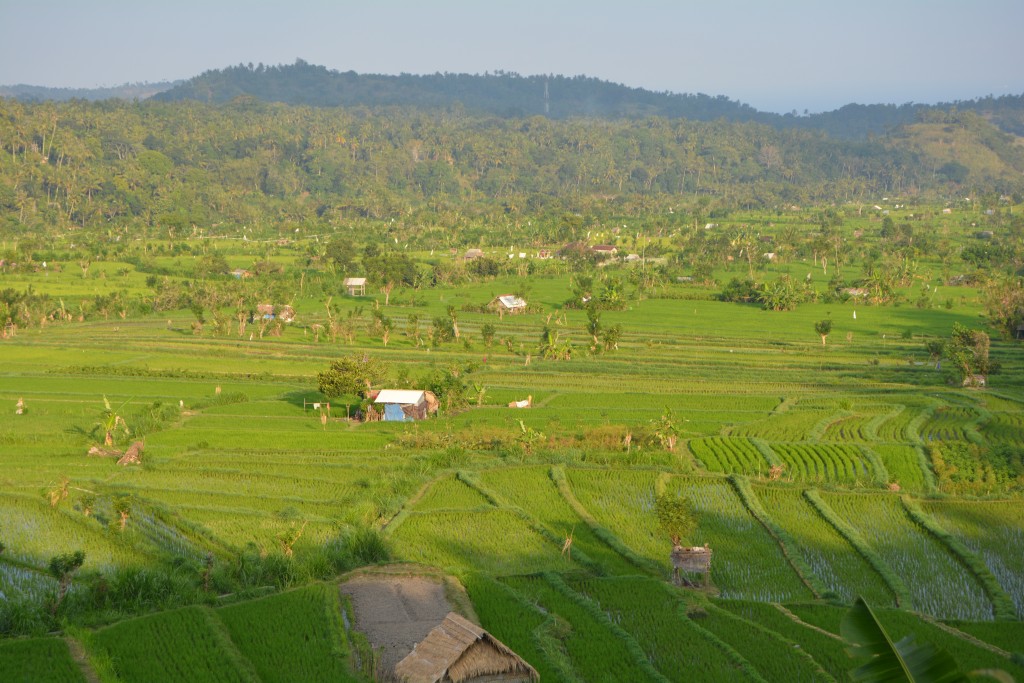 Smukke Bali