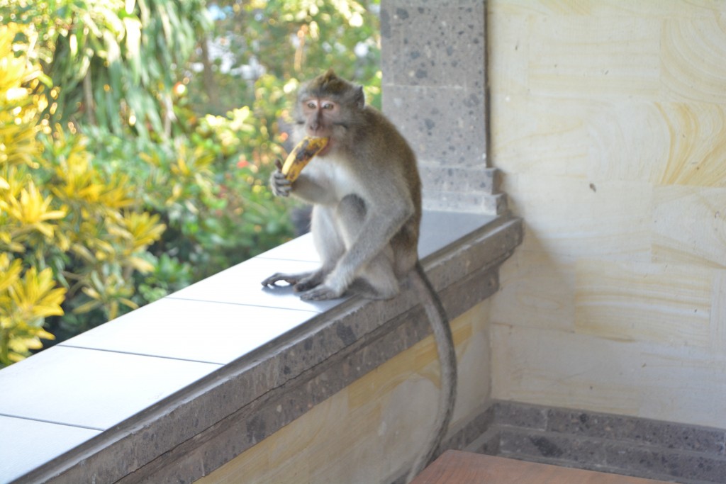 Hotel Ubud Bali