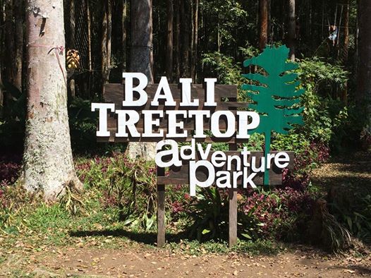 Tree top adventure på Bali