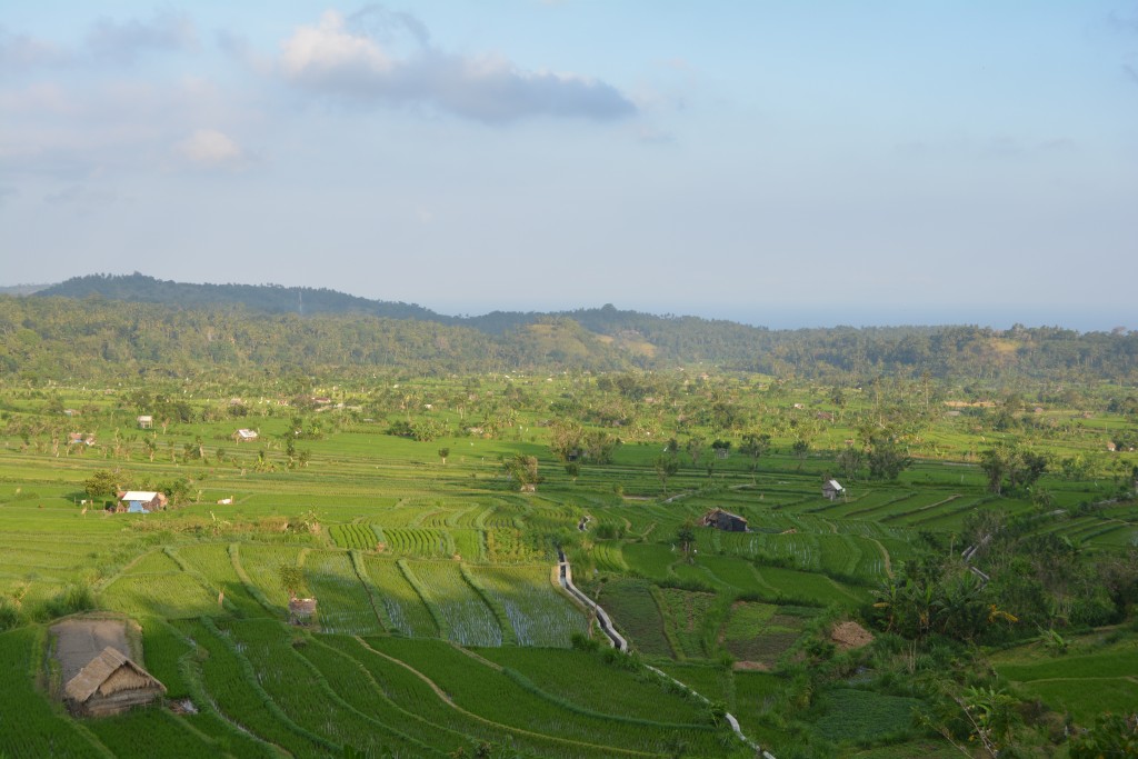 Landskab på Bali