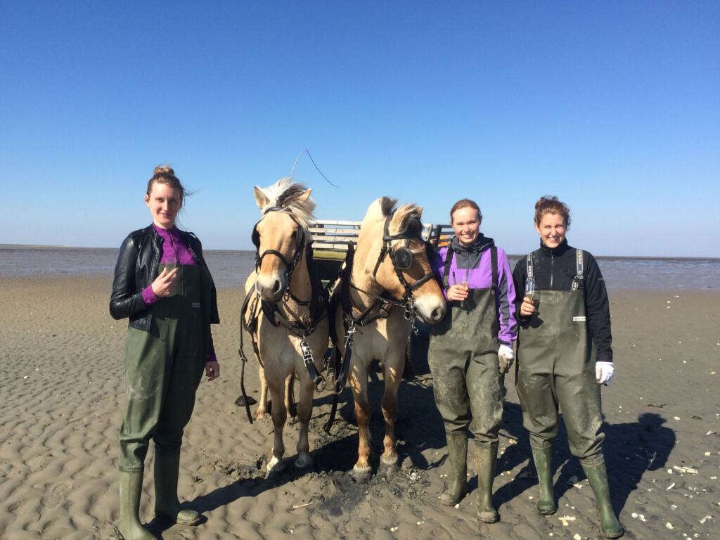 Østerssafari & champagne