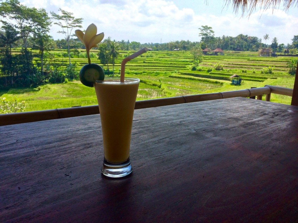 Rismarker på Bali