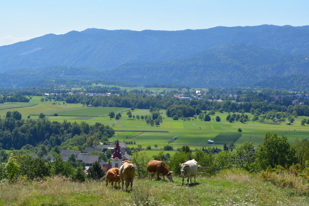 Slovenien natur