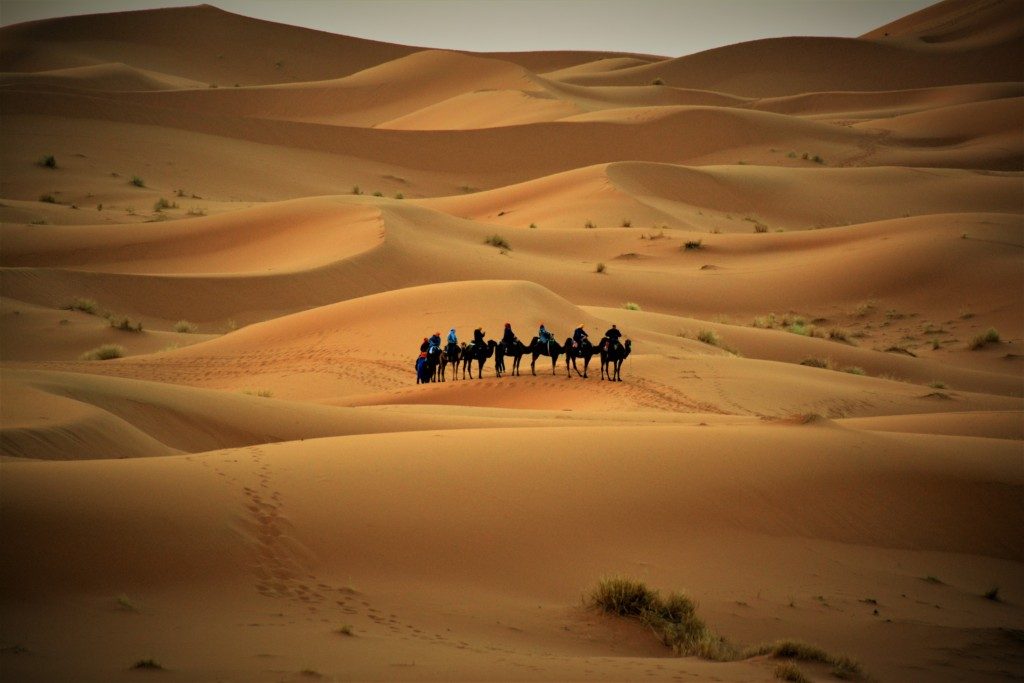 Udflugt til Sahara ørkenen