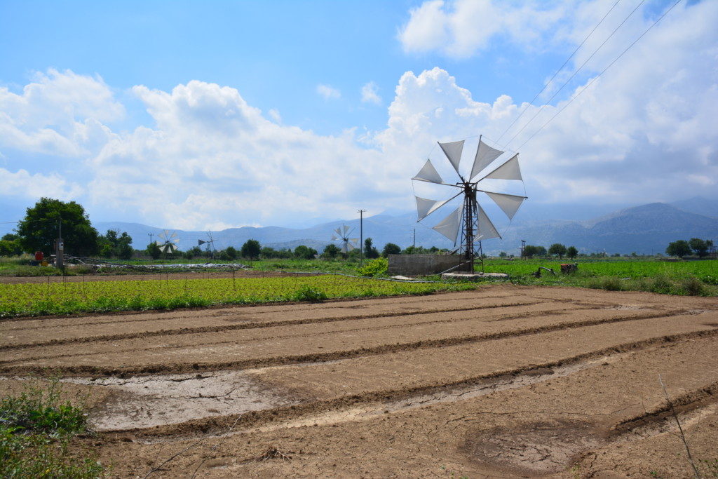 Lasithi Plateau