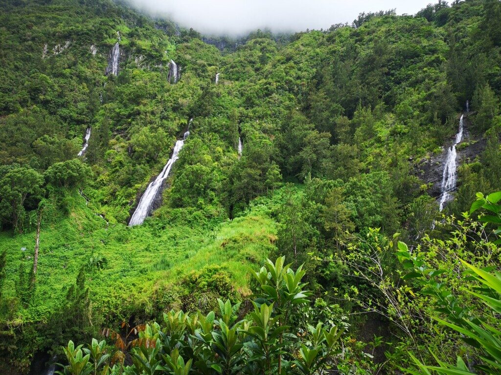 Réunions natur