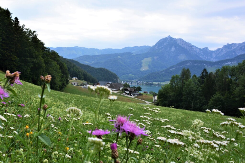 5 dages familievandring i Salzkammergut