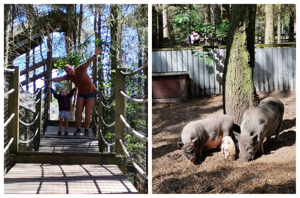 Farm Fun