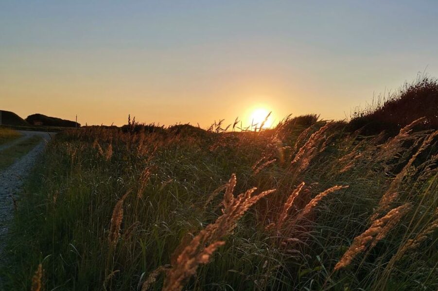 Solnedgang Skagen