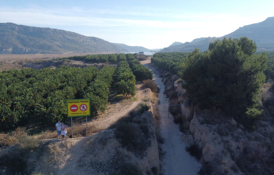 Canal De Elche