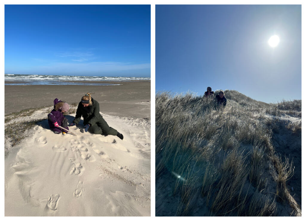 Landal Grønhøj strand